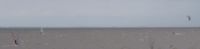 Cold Kite
