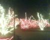 Lights before christmas