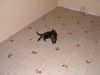 Some pics of Thumble's house