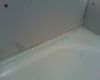 The bathroom surround project