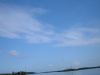 Airboat Tour