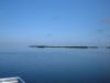 Airboat Tour