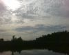 Airboat Tour
