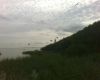 Airboat Tour