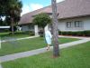 More Florida pics