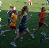 Scott Park - Week 3