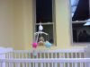 Sparrow's Nest