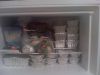 Meals for a month