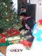 Double Update Xmas and Pappy Time