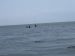 Outer Banks Vacation