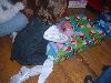 Xmas day