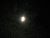 Florida Trip Image Dump