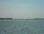 Florida Trip Image Dump