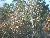 Florida Trip Image Dump