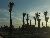 Florida Trip Image Dump