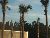 Florida Trip Image Dump