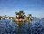Florida Trip Image Dump