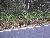 Florida Trip Image Dump