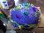 Mardi Gras Cake
