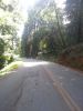 Alpine Ride Part II