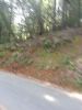 Alpine Ride Part II