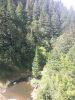 Alpine Ride Part II
