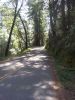 Alpine Ride Part II