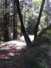 Alpine Ride Part II