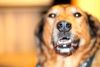 New Lens - Nifty Fifty