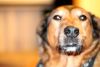 New Lens - Nifty Fifty