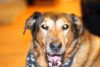 New Lens - Nifty Fifty