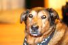 New Lens - Nifty Fifty