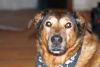 New Lens - Nifty Fifty